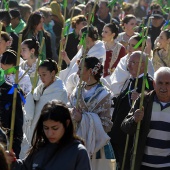 Romeria de Les Canyes