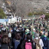 Romeria de Les Canyes