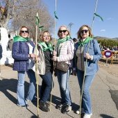 Romeria de Les Canyes