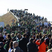 Romeria de Les Canyes