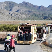 Romeria de Les Canyes