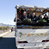 Romeria de Les Canyes