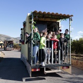 Romeria de Les Canyes