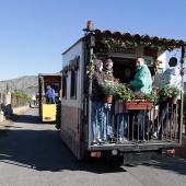 Romeria de Les Canyes