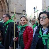 Romeria de Les Canyes