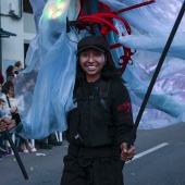 Desfile de animación