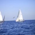 Castellón, Regata Costa Azahar