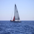 Castellón, Regata Costa Azahar