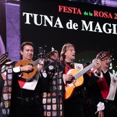 Festa de la Rosa