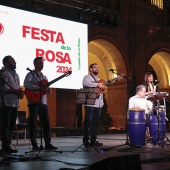 Festa de la Rosa