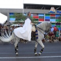 Castellón, Sant Pere 2011