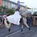 Castellón, Sant Pere 2011