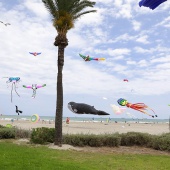 Festival del Viento