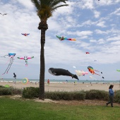 Festival del Viento
