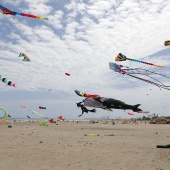 Festival del Viento