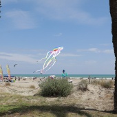 Festival del Viento