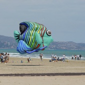 Festival del Viento