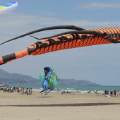 Festival del Viento