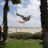 Festival del Viento