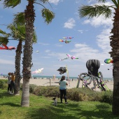 Festival del Viento