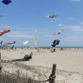 Festival del Viento