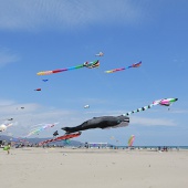 Festival del Viento
