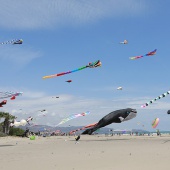 Festival del Viento
