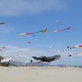 Festival del Viento