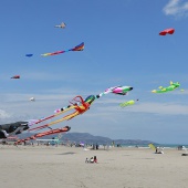 Festival del Viento