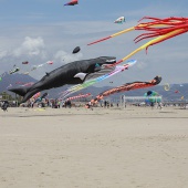 Festival del Viento