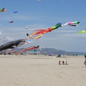 Festival del Viento
