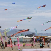 Festival del Viento