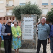 Miquel Soler i Barberà