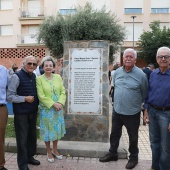 Miquel Soler i Barberà