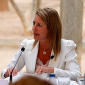 Balancel primer año de gobierno