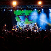 Concerts del Pinar