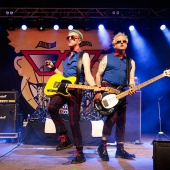 Concerts del Pinar