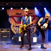 Concerts del Pinar