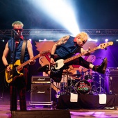 Concerts del Pinar
