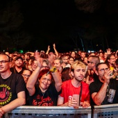 Concerts del Pinar