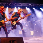 Concerts del Pinar