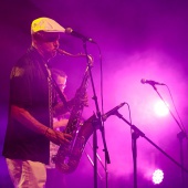 Concerts del Pinar