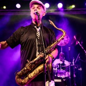 Concerts del Pinar