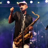 Concerts del Pinar