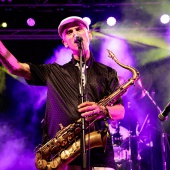 Concerts del Pinar