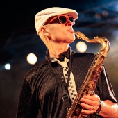 Concerts del Pinar