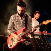 Concerts del Pinar
