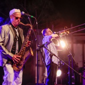 Concerts del Pinar