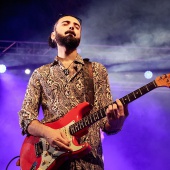 Concerts del Pinar