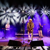 Concerts del Pinar